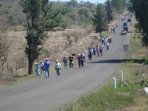 Miles de personas caminaron a Huandacareo Miles de personas caminaron a Huandacareo