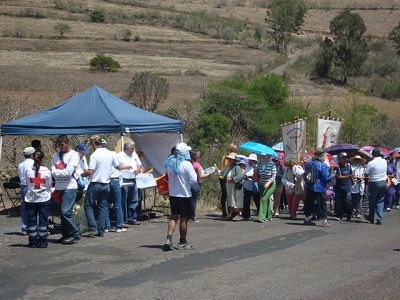 12 mil personas caminaron por más de 22 kilómetros 12 mil personas caminaron por más de 22 kilómetros