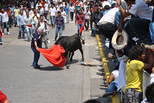 El primer toro corneo a una persona El primer toro corneo a una persona