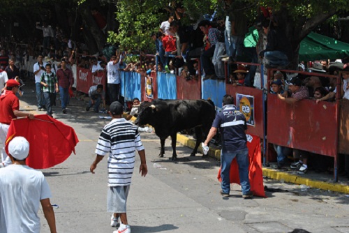 El más bravo fue el sexto quien lesiono a cuatro individuos que continúan hospitalizados tras su heridas El más bravo fue el sexto quien lesiono a cuatro individuos que continúan hospitalizados tras su heridas