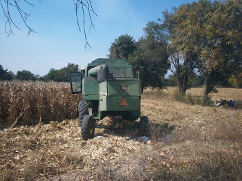 La maquina agrícola le paso por encima