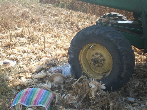 Trilladora le quita la vida a anciano
