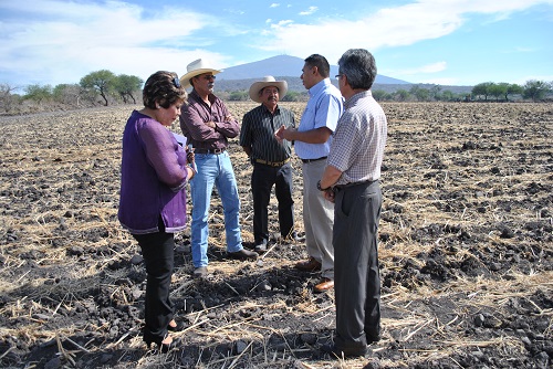 La Diputada por el distrito XXI Local, Alejandrina Lanuza Hernández, realizó gestiones desde el Congreso para que en el presupuesto estatal 2013 se contemplaran 10 millones de pesos para la edificación de las instalaciones del CECYTEG Salvatierra.