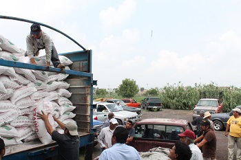 Entregaron en 4 sedes distintas los apoyos.