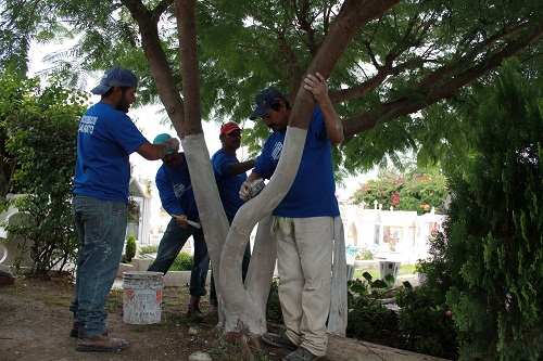 Anticipándose al 1 y 2 de noviembre, fecha en que miles de personas acuden al panteón para recordar a sus muertos