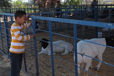 En la expo habra expositores de insumos, maquinaria, agroquímicos y ganado