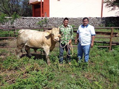 Entregaron distintos apoyos como tejabanes, animales y maquinaria.