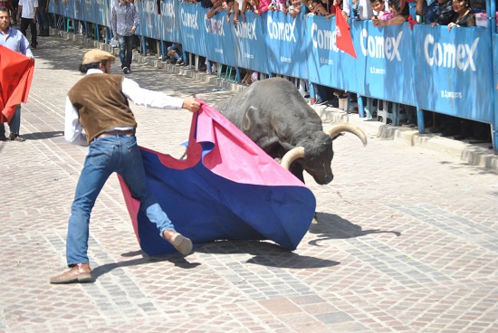 Durante el encierro de toros participaron 134 elementos de Seguridad Publica de Salvatierra, 5 elementos de Valle de Santiago, 2 de Yuriria, 2 de Uriangato, 2 unidades de Transito del Estado, 28 elementos de vialidad, 56 elementos de Cruz Roja Mexicana, 5 de protección civil y 6 de bomberos siendo un total de 240 elementos que estuvieron cubriendo el segundo encierro de Toros del Festival Marquesada 2014.