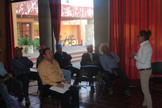 La conferencia fue impartida por la Ing. Juana Flores Martínez y el Ing. José Segundo González, pertenecientes al comité estatal de sanidad vegetal (CESAVEG). Cabe mencionar que en una visita de inspección realizada por personal de Desarrollo Rural se detectó que ya en varias parcelas del municipio se venía desarrollando este tipo de plaga, por lo que en lo inmediato se buscó la manera de informar a los campesinos sobre el tema y así brindarles las herramientas y los conocimientos necesarios para poder combatir esta situación.