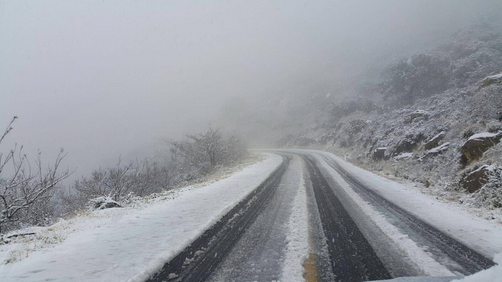 El Gobierno del Estado de Guanajuato, informa que ante las condiciones climáticas presentadas en las últimas horas habrá suspensión de clases en los municipios de: San Felipe, Ocampo, Dolores, San Diego de la Unión, San Luis de la Paz, San José Iturbide, Xichú, Atarjea, Doctor Mora, Victoria, Tierra Blanca, y Santa Catarina Se comunica también a la poblaciónel cierre de los tramos carreteros de: Guanajuato – Dolores Hidalgo, (Sierra de Santa Rosa) y la León – San Felipe (Sierra de Lobos).