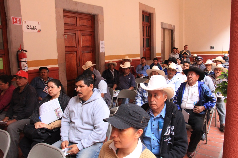 En la primer reunión llevada a cabo en el patio de presidencia municipal , se les mencionó a los productores del campo a cómo identificar este insecto en sus parcelas , se les dejo en claro cuánto daño ocasiona a la planta del trigo ya que este se alimenta de la savia que la planta necesita para crecer