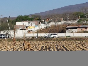 La tarde del viernes 4 de marzo Ejecutaron a dos personas en la Colonia La Esperanza, en la calle principal, Camelias, casi esquina con Viveros. Los hechos ocurrieron alrededor de las 3pm cuando unos sujetos dispararon en contra de una camioneta color blanco donde el chofer y su acompañante murieron en el lugar al recibir impactos de arma de fuego.