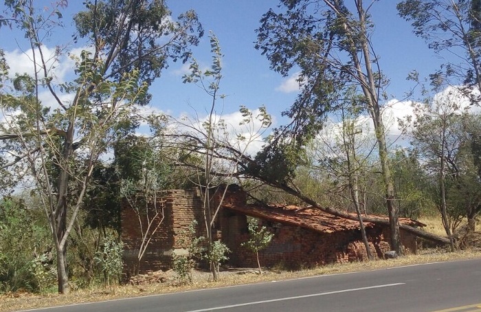 Asimismo las autoridades reportaron decenas de arboles caidos entre ellos uno que sucumbió arriba de una choza utilizada para la elaboración de tabique, asimismo parte del techo de la cancha de usos múltiples de la Secundaria María Fuentes Sandoval, ubicada en cabecera municipal voló ante los fuertes vientos.