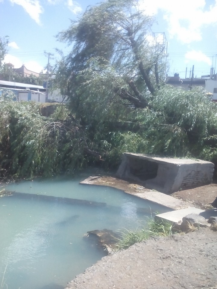 Se registraron incidentes en escuelas de la comunidad de San Nicolás de los Agustinos; entre otras comunidades, además de un gran árbol que cayó en la entrada a la colonia Victoria, mismo parte del mismo al Ojo de agua de la Angostura.