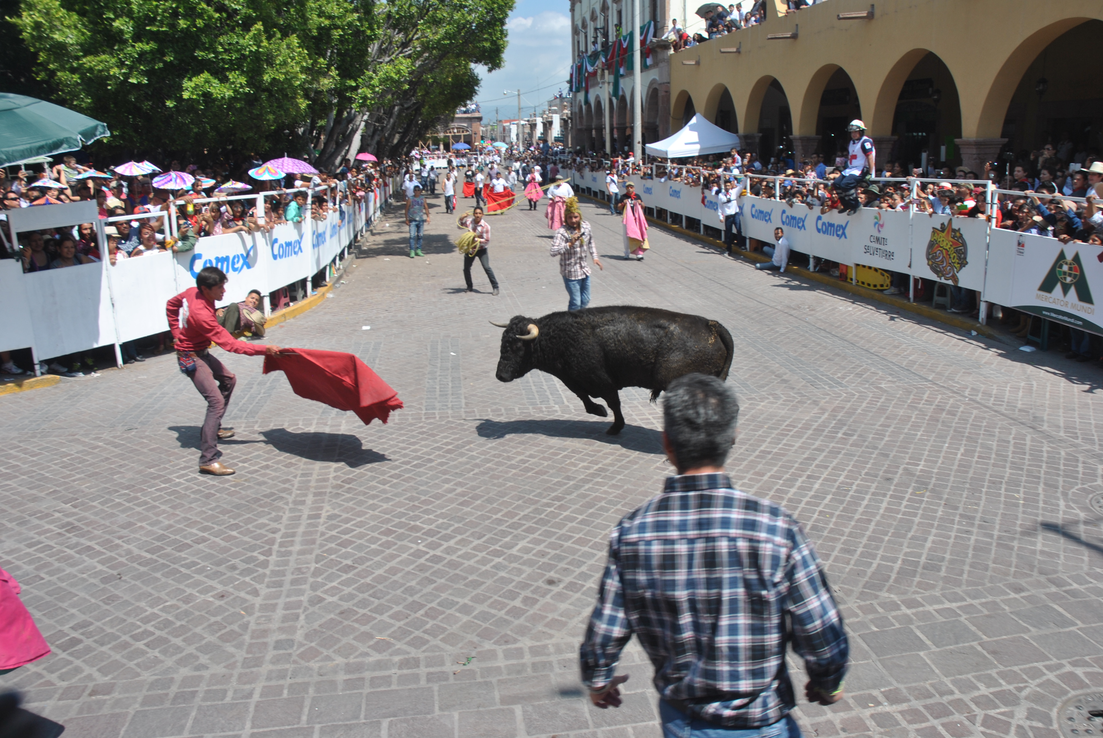 Resultando lesionado un solo participante de nombre José Álvarez, de 33 años de edad, originario de San Miguel de Allende, mismo que solamente fue empujado por un toro ocasionándole golpes en el tórax y extremidades , con posible ruptura de meñique pie izquierdo.