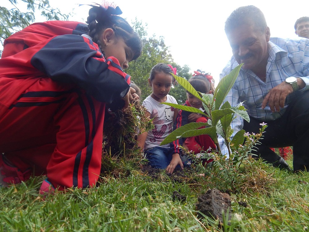 serán en total 4,400 árboles de distintas especies destacando los denominados pinos Michoacanos los entregados y sembrados a lo largo del municipio.