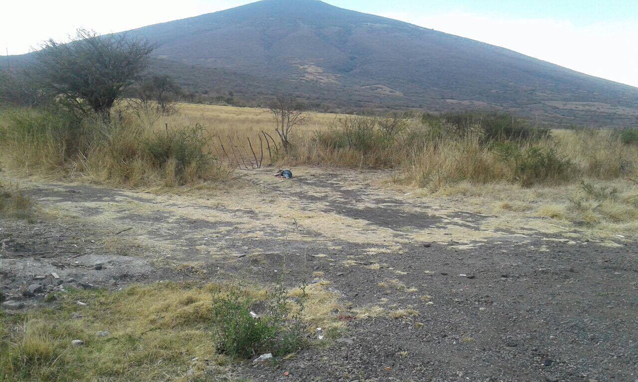 El hallazgo fue hecho por unos vecinos