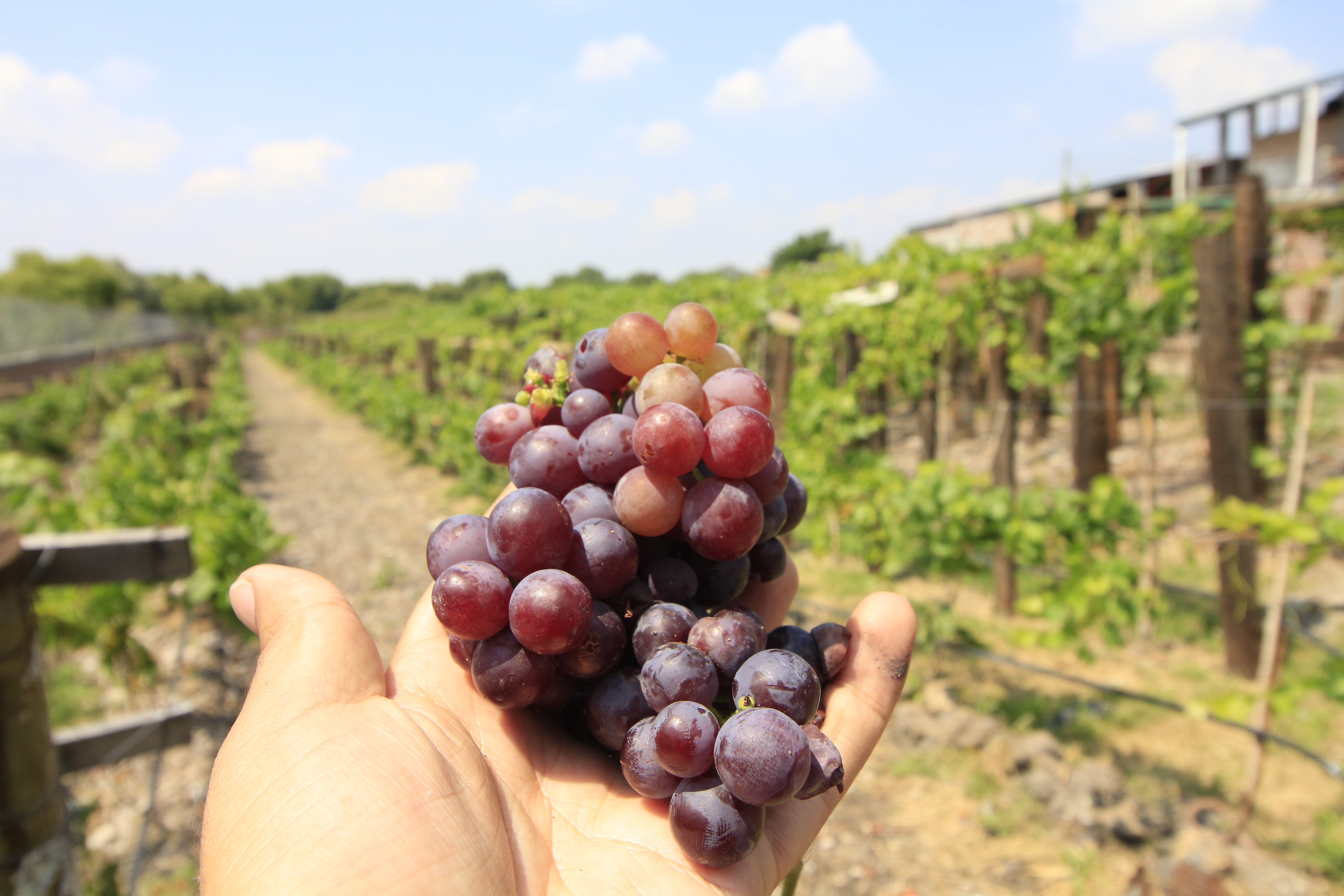 Como unas ocho y como tres que se prenden y se apagan