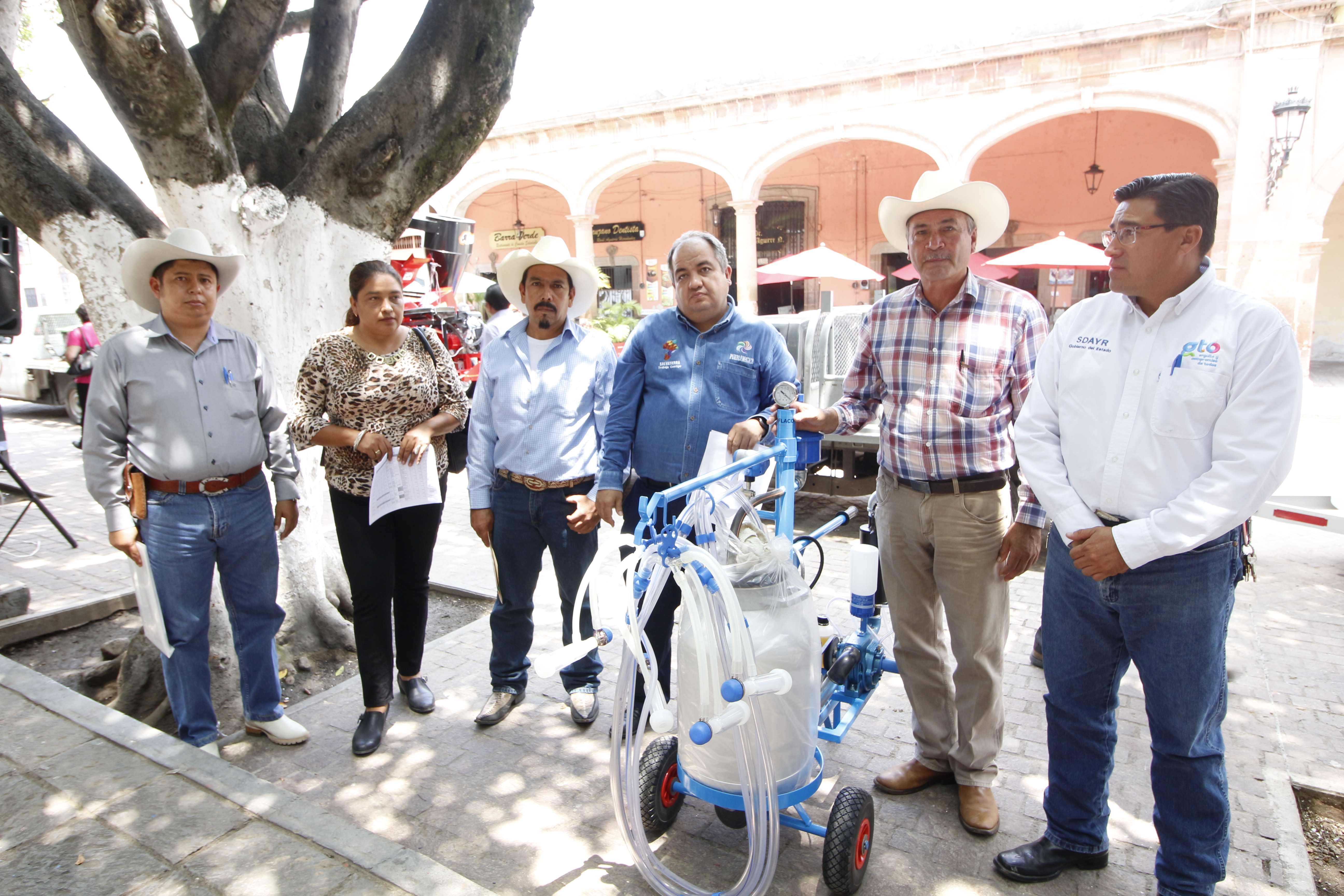 se entregaron 137 vientres ovinos y 75 porcinos